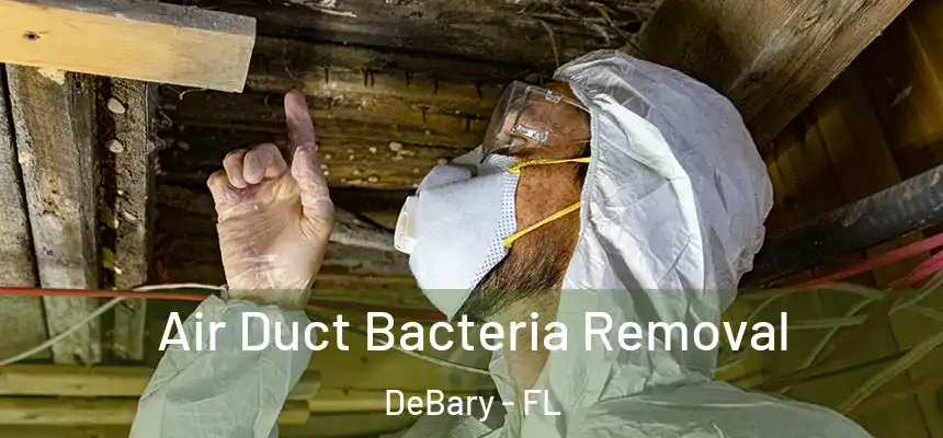 Air Duct Bacteria Removal DeBary - FL