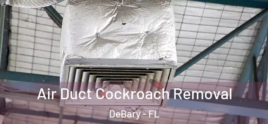 Air Duct Cockroach Removal DeBary - FL