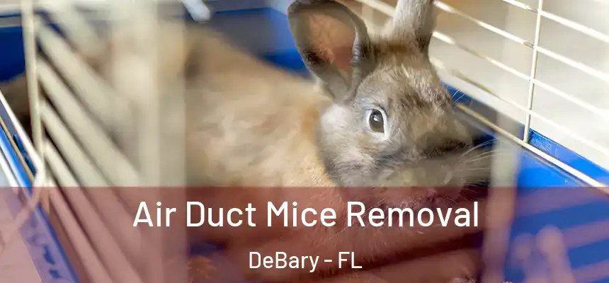 Air Duct Mice Removal DeBary - FL