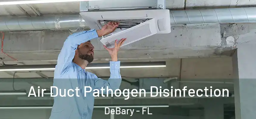 Air Duct Pathogen Disinfection DeBary - FL