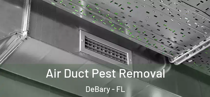 Air Duct Pest Removal DeBary - FL