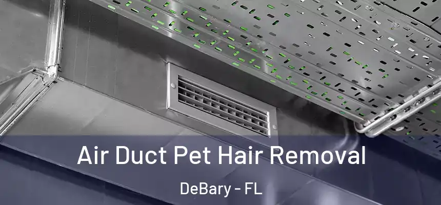 Air Duct Pet Hair Removal DeBary - FL