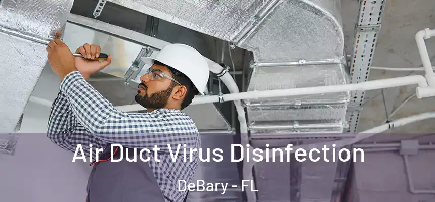 Air Duct Virus Disinfection DeBary - FL