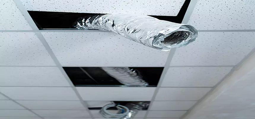 Our Air Duct Pet Hair Removal Services in DeBary, FL