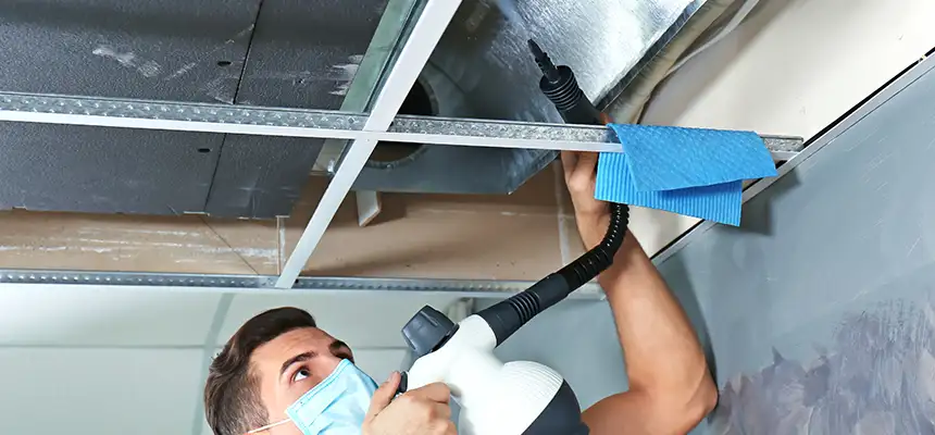 Our Air Duct Rodent Removal Services in DeBary, FL