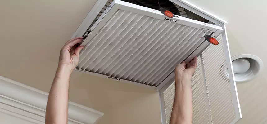 Our Insect Removal from Air Ducts Services in DeBary, FL