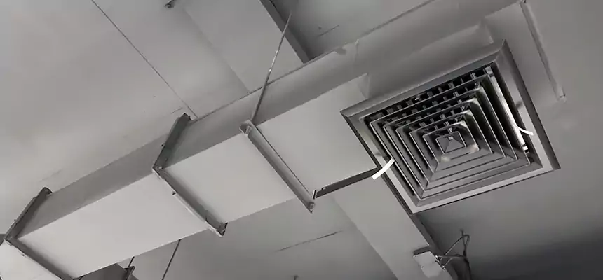 Our Rodent Droppings In Vents Services in DeBary, FL