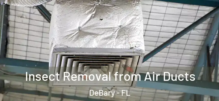 Insect Removal from Air Ducts DeBary - FL