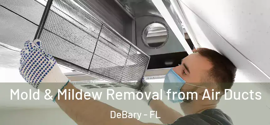 Mold & Mildew Removal from Air Ducts DeBary - FL