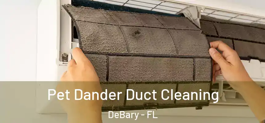 Pet Dander Duct Cleaning DeBary - FL