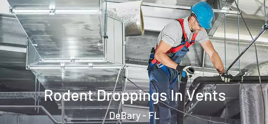 Rodent Droppings In Vents DeBary - FL