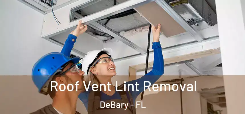 Roof Vent Lint Removal DeBary - FL