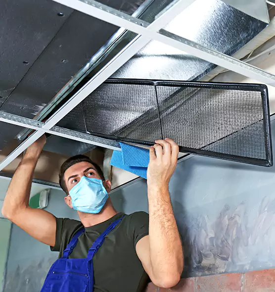 About Air Duct Bacteria Removal in DeBary