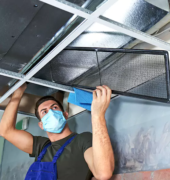 Professional Air Duct Pollen Cleaning in DeBary, FL