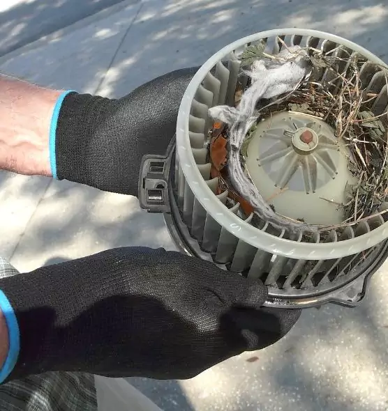 About Air Duct Rat Removal in DeBary, FL