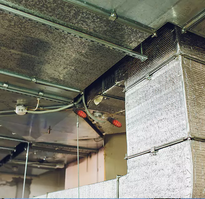 Why Homeowners & Businesses Trust Us in DeBary, FL?