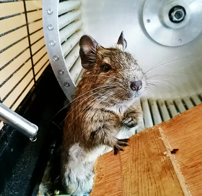 Why Homeowners & Businesses Trust Us DeBary, FL