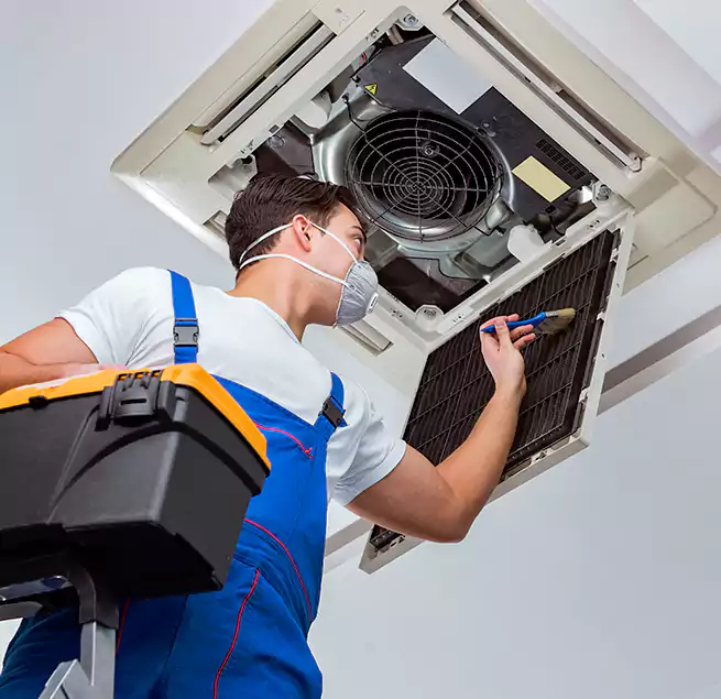 Why Homeowners & Businesses Trust Us in DeBary, FL