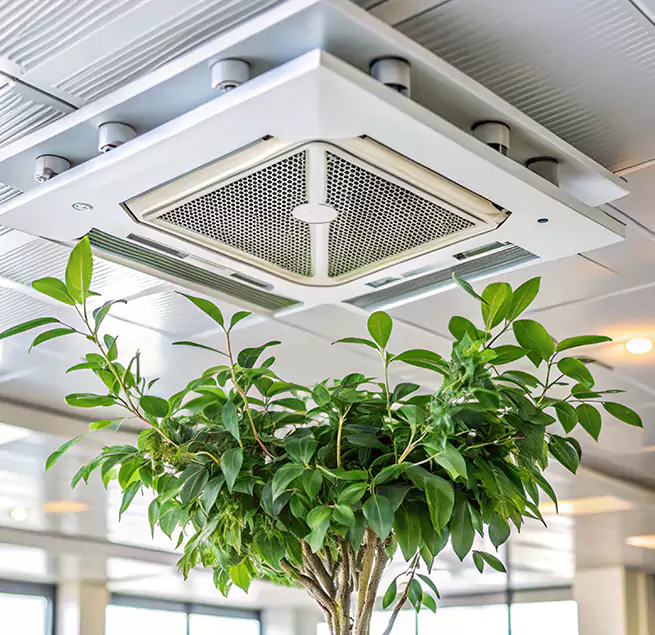 Why Homeowners & Businesses Trust Us in DeBary, FL?