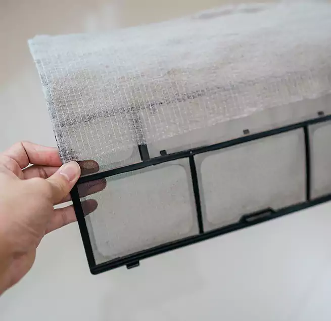 Why Homeowners & Businesses Trust Us in DeBary, FL?