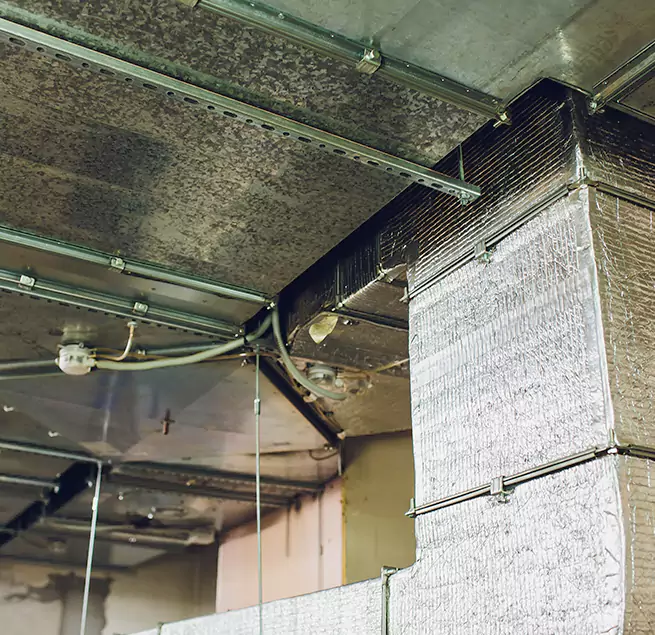 Why Homeowners & Businesses Trust Us in DeBary, FL?