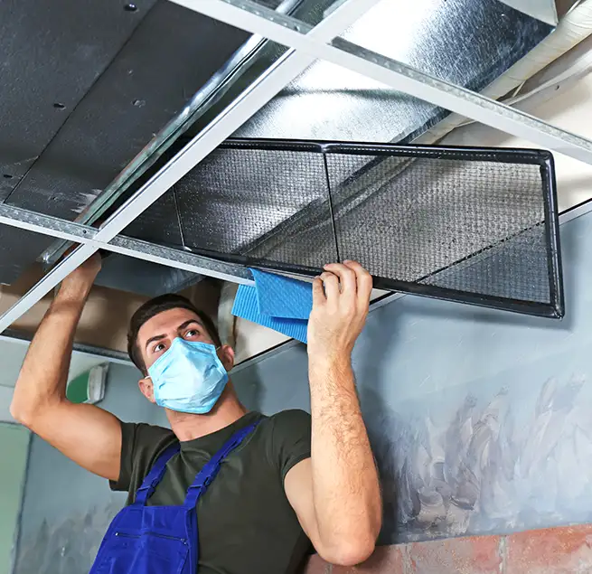 Why Homeowners & Businesses Trust Us in DeBary, FL?